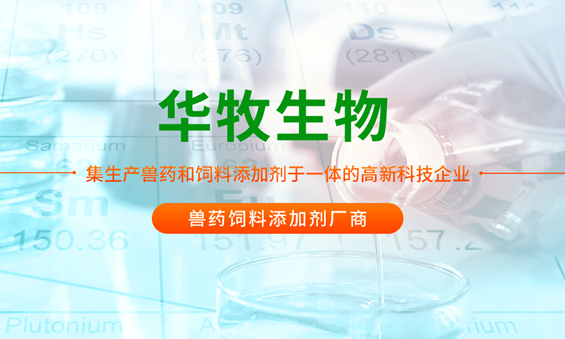 开云电子·kaiyun(中国游)官方网站
