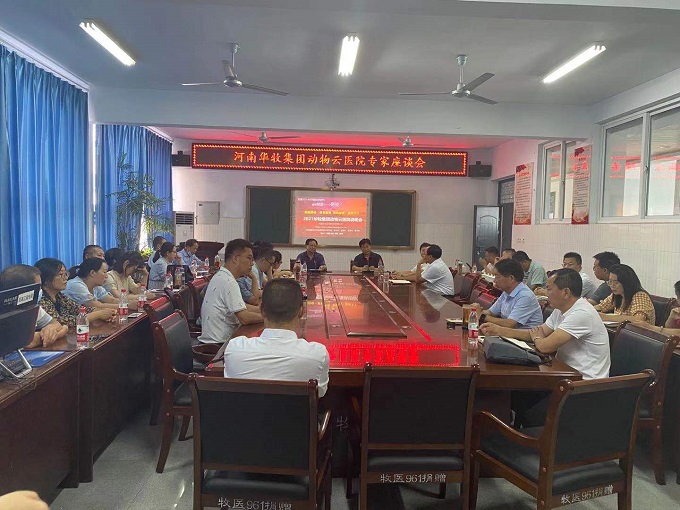 开云电子医院座谈会.jpg