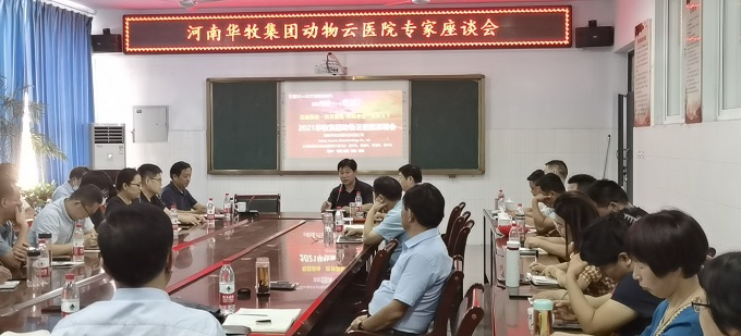 开云电子医院座谈会3654.jpg